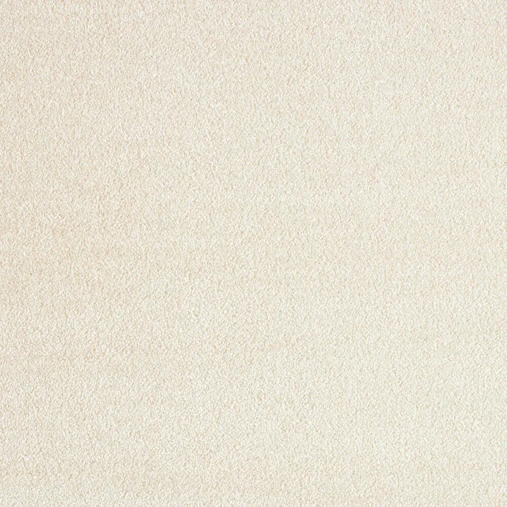 iSENSE Obsession-33 Nougat