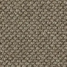 Westex Butterwick Wool Loop Koala